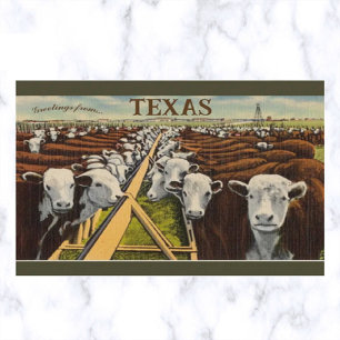 Carte Postale Illustration vintage de bétail à Midland Texas