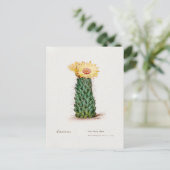 Carte Postale Illustration vintage de Cactus de ruche (Debout devant)