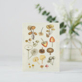 Carte postale / illustration Vintage de champignon (Debout devant)