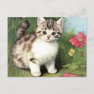 Carte Postale Illustration vintage de chat avec Fleurs rouges