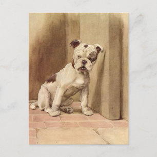 Carte Postale Illustration vintage de chiot Bulldog