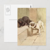 Carte Postale Illustration vintage de chiot Bulldog (Devant / Derrière)