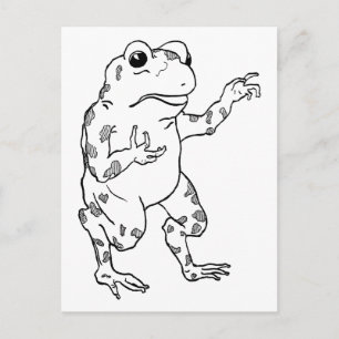 Carte Postale Illustration vintage de grenouille taureau
