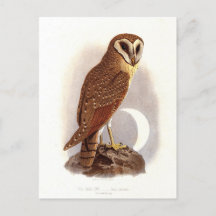 Illustration Vintage de la propriété Java