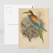 Carte Postale Illustration vintage de l'Abeille européenne (Devant / Derrière)