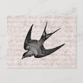 Carte Postale Illustration vintage de l'hirondelle - Antique Ois