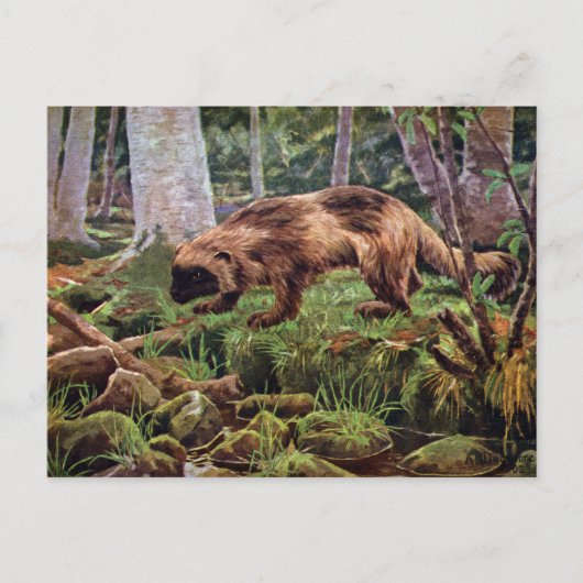 Carte Postale Illustration vintage de Wolverine (Devant)