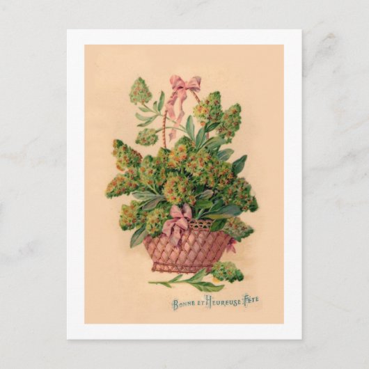 Carte Postale Illustration vintage des Fleurs françaises (Devant)