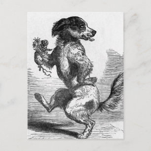Carte Postale Illustration Vintage "Dog Dancing a Jig"