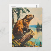 Carte Postale Illustration vintage du castor (Devant / Derrière)