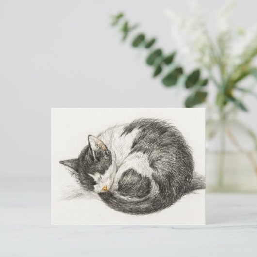 Carte Postale Illustration Vintage du chat couché (Debout devant)