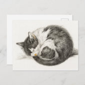 Carte Postale Illustration Vintage du chat couché (Devant / Derrière)