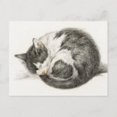 Carte Postale Illustration Vintage du chat couché (Devant)