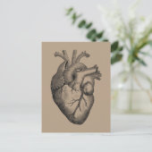 Carte Postale Illustration vintage du coeur (Debout devant)