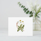 Carte Postale Illustration vintage du Dandelion (Debout devant)