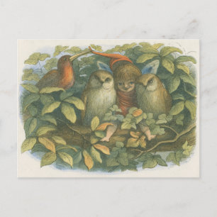 Carte Postale Illustration vintage du livre Fairy, Owls, and Bir