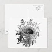 Carte Postale illustration vintage du nid d'oiseaux (Devant / Derrière)