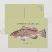 Carte Postale Illustration Vintage du poisson de groupe (Devant / Derrière)