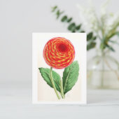 Carte Postale Illustration Vintage "Flambeau Dahlia" (Debout devant)