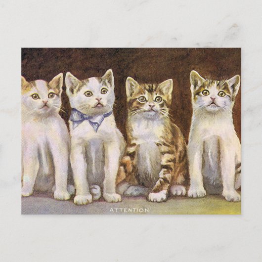 Carte Postale Illustration Vintage Four Cute Kittens (Devant)