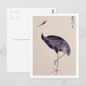 Carte Postale Illustration vintage : Grue commune (Devant / Derrière)