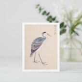 Carte Postale Illustration vintage : Heron gris (Debout devant)