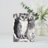 Carte Postale Illustration Vintage "Hibou" (Debout devant)
