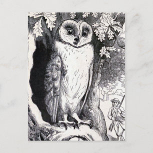 Carte Postale Illustration Vintage "Hibou"