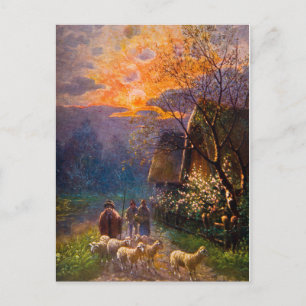 Carte Postale Illustration vintage, Hondage De Moutons À La Nuit
