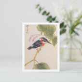 Carte Postale illustration vintage : Kingfisher (Debout devant)