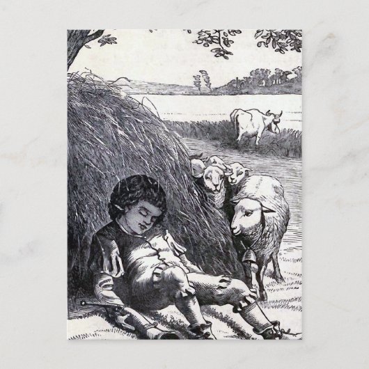 Carte Postale Illustration Vintage "Little Boy Blue" (Devant)