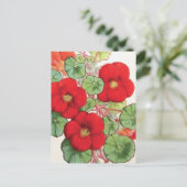 Carte Postale Illustration Vintage "Nasturtium" (Debout devant)