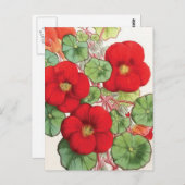 Carte Postale Illustration Vintage "Nasturtium" (Devant / Derrière)
