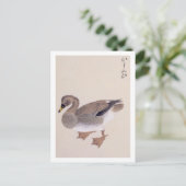 Carte Postale Illustration vintage : Oie de haricot (Debout devant)