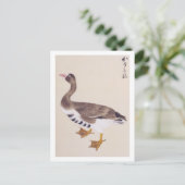 Carte Postale Illustration vintage : Oie sauvage (Debout devant)