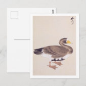 Carte Postale Illustration vintage : Oie sauvage (Devant / Derrière)