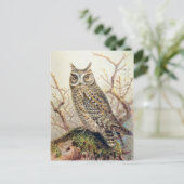 Carte Postale Illustration vintage Owl (Debout devant)