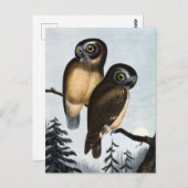 Carte Postale Illustration vintage Owl (Devant / Derrière)