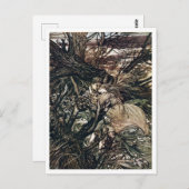 Carte Postale Illustration vintage par Arthur Rackham Undine (Devant / Derrière)