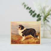 Carte Postale Illustration vintage pour chien Collie (Debout devant)