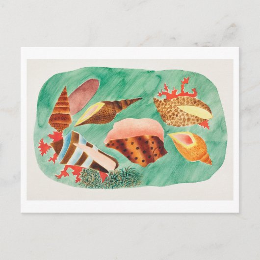 Carte Postale Illustration vintage Seashell (Devant)