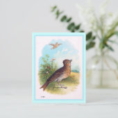 Carte Postale Illustration Vintage "The Lark" (Debout devant)
