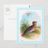 Carte Postale Illustration Vintage "The Lark" (Devant / Derrière)