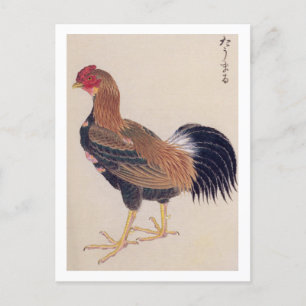 Carte Postale Illustration vintage : Tomaru