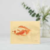 Carte Postale Illustration watonai goldfish Koï (Debout devant)
