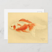 Carte Postale Illustration watonai goldfish Koï (Devant / Derrière)