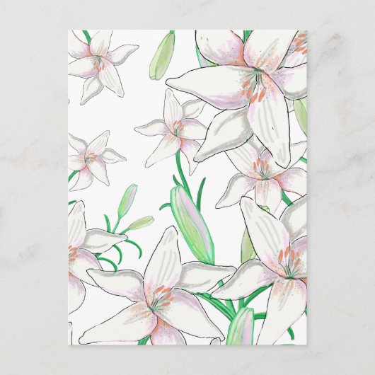 Carte Postale Illustration White Lilies (Devant)