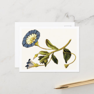 Carte Postale Illustrations botaniques de Curtis