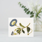 Carte Postale Illustrations botaniques de Curtis (Debout devant)