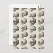 Carte Postale Illustrations de crâne vintage (Devant / Derrière)